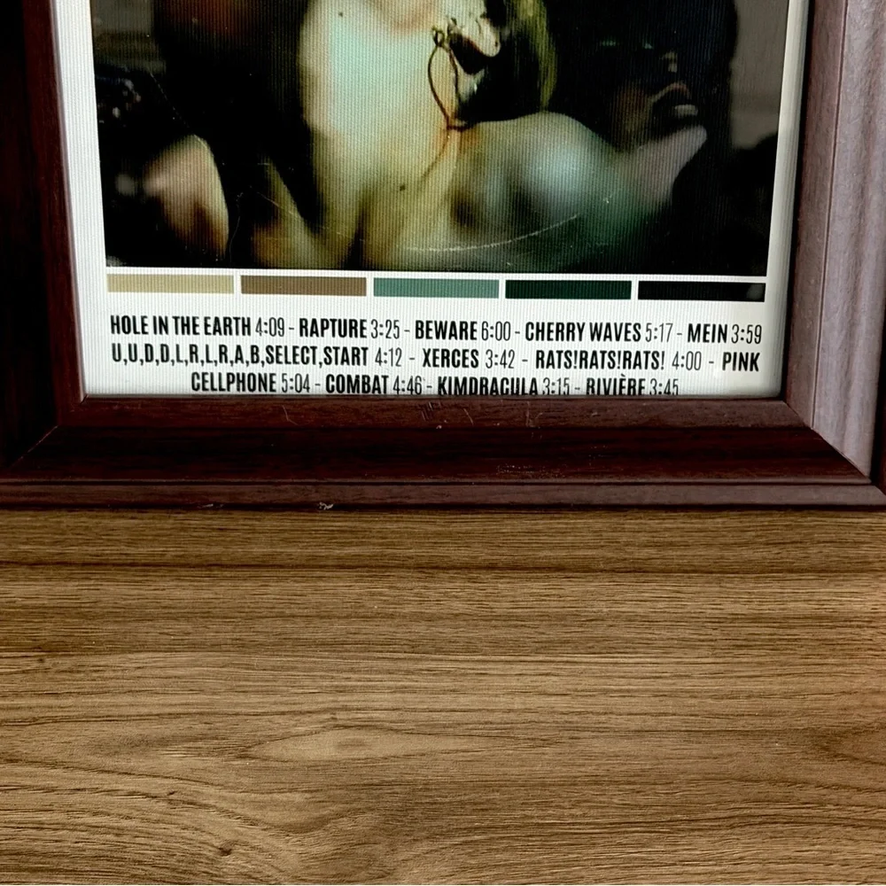 Deftones Saturday Night Wrist Album Cover Canvas Art Print Framed Wall Art